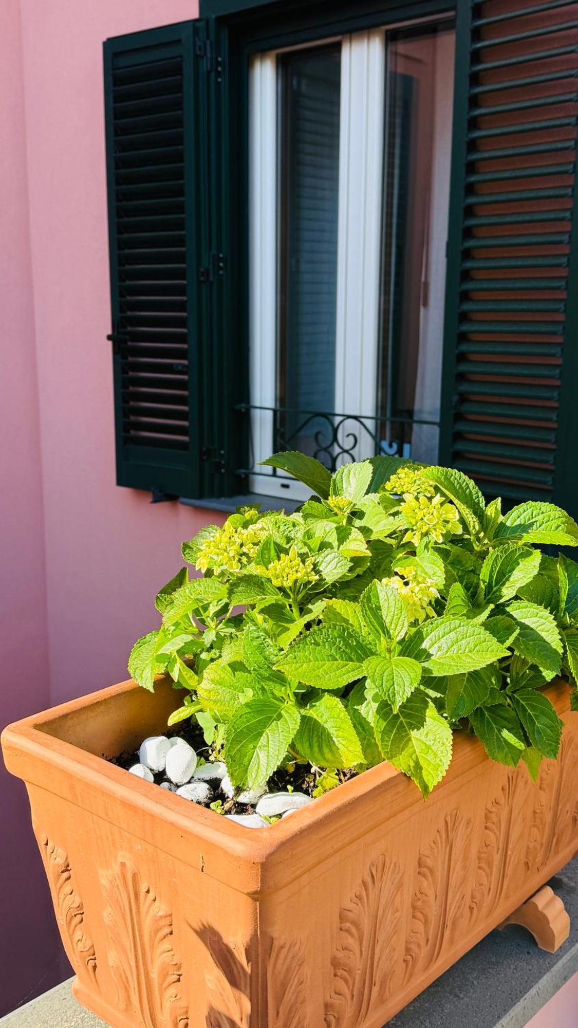La Maison Rose Maiori Eksteriør bilde